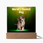 World's Coolest Dog