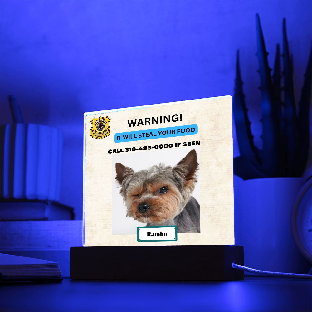 Funny Dog Acrylic - Warning