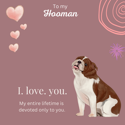 To My Hooman I love You