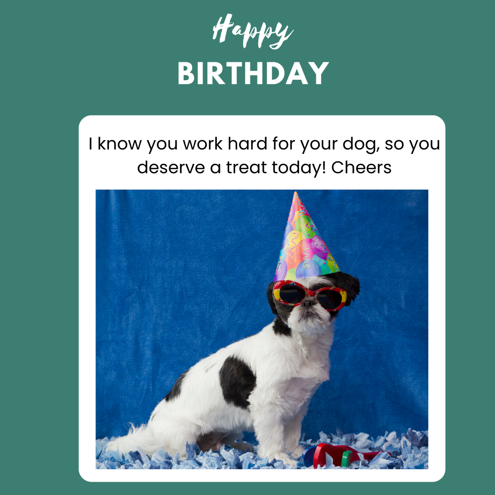 Happy Birthday Dog Cheers Message Card