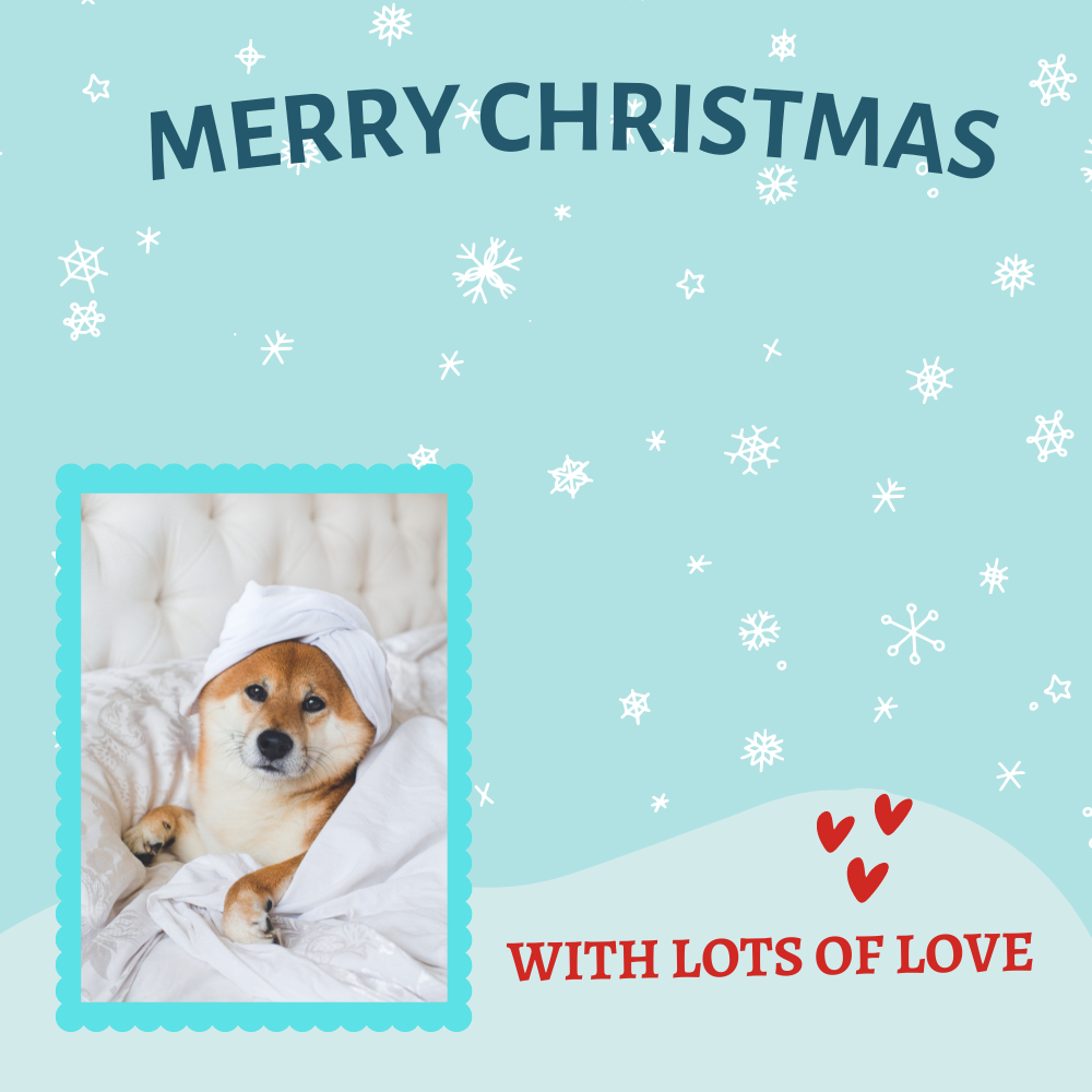 Simple Merry Christmas With Lots of Love Message Card