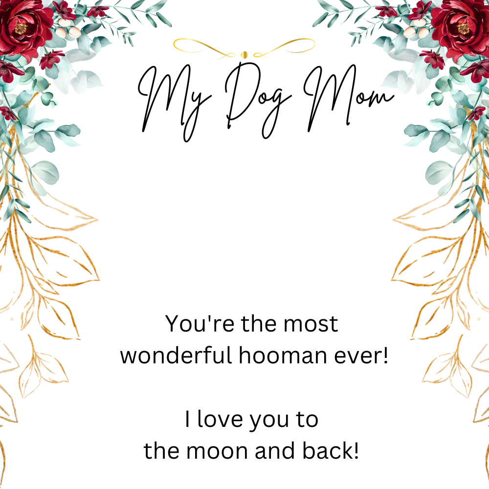 To My Dog Mom You're The Most Wonderful Hooman Ever Message Card