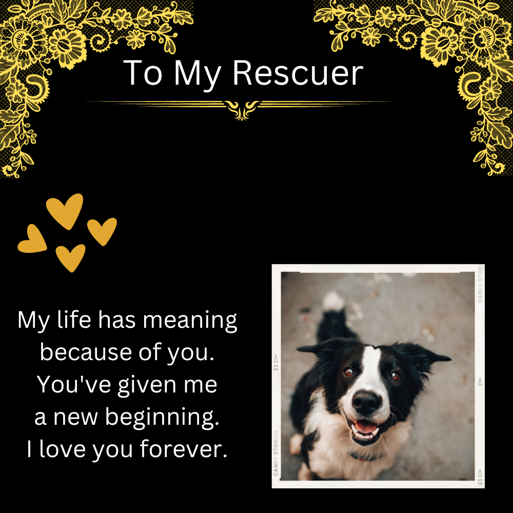 To MY Rescuer My Life Has Meaning Because of You